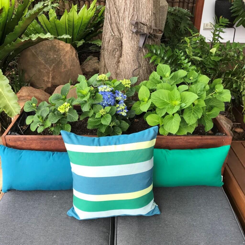 Acupulco Outdoor Cushions Outdoor Interiors Sunbrella