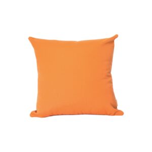 Outdoor Cushion Sunbrella Orange