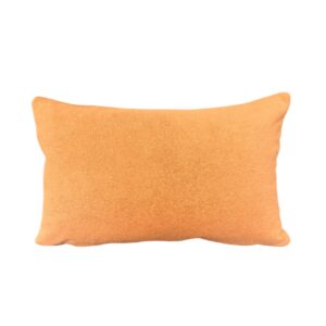 Outdoor Cushion Sunbrella Terry Pumpkin