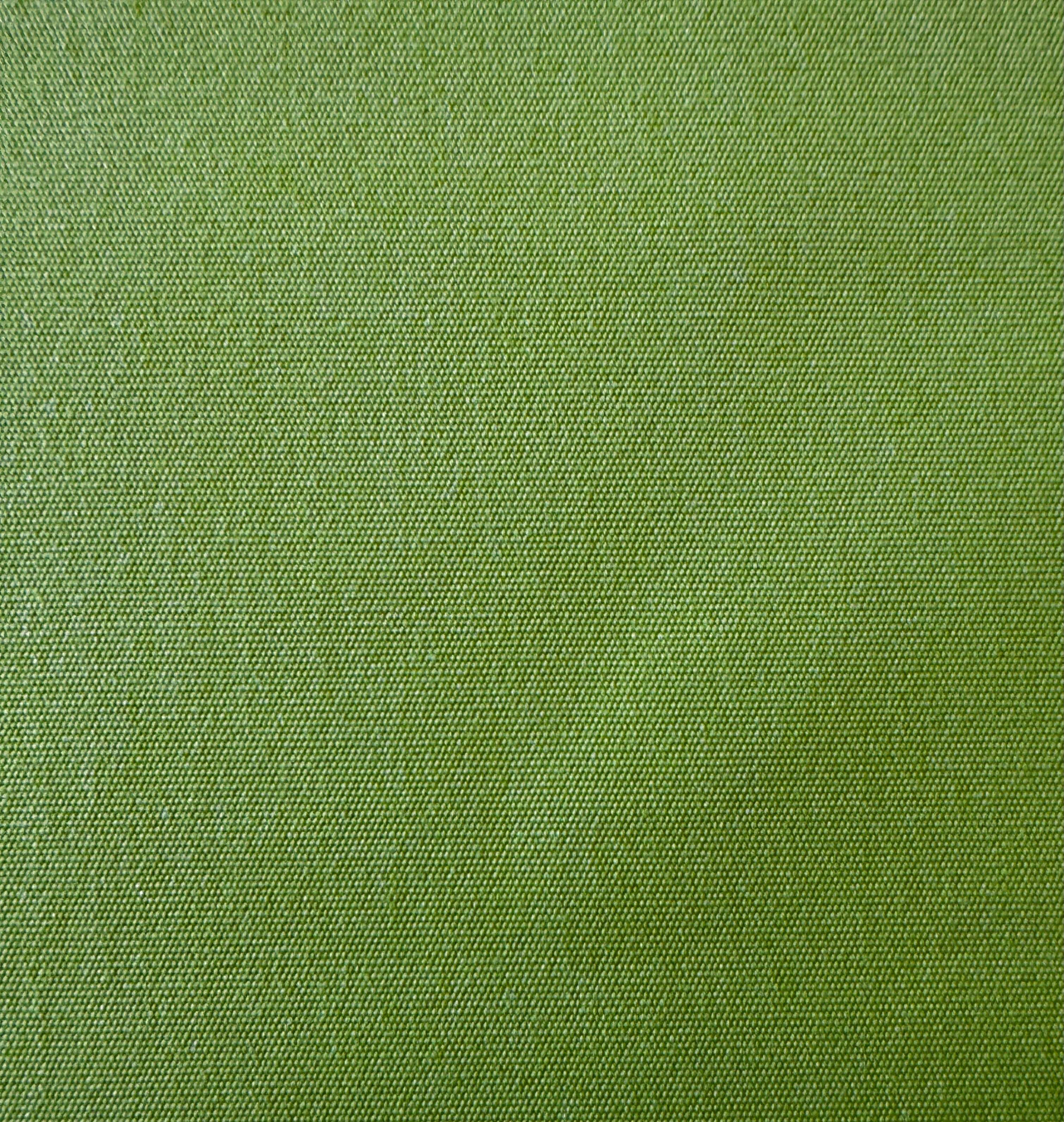 Sunbrella Swatch Gingko Green